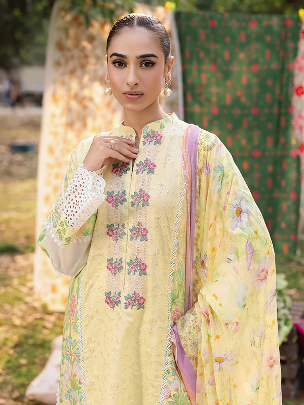 RAJBARI SCHIFFLI PRINTKARI UN-STITCHED 3PC |D -11