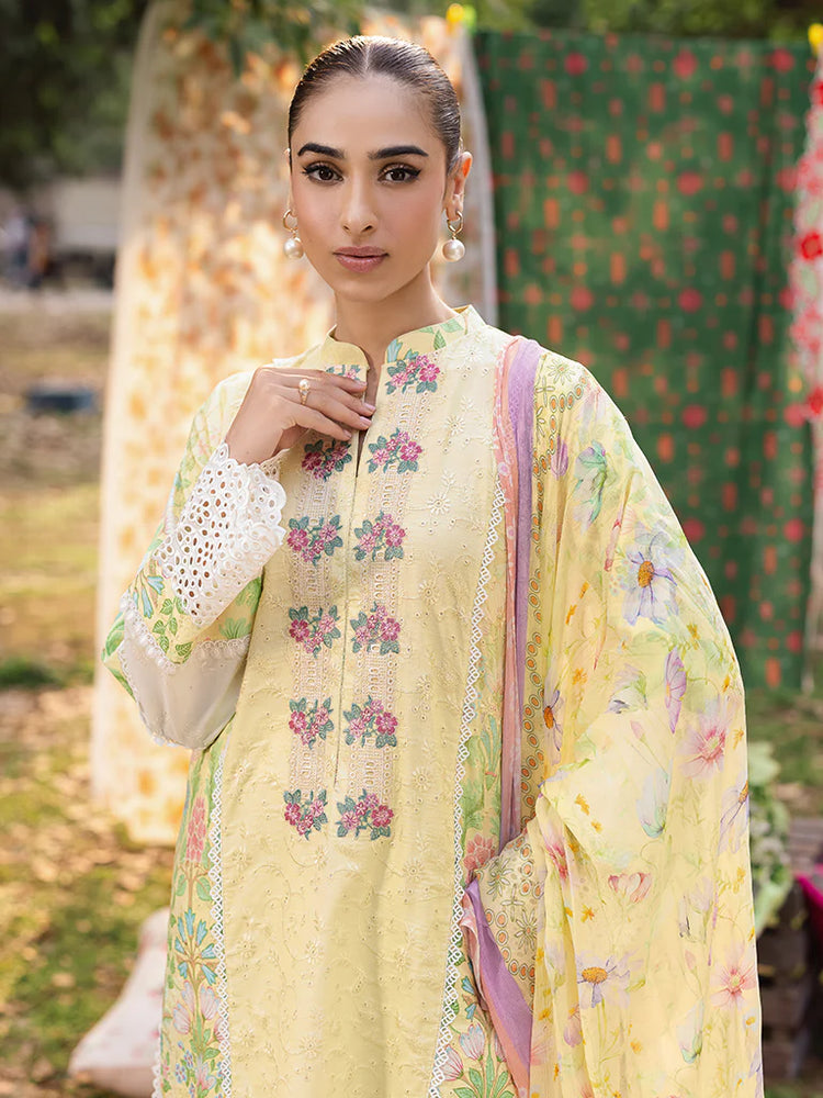 RAJBARI SCHIFFLI PRINTKARI UN-STITCHED 3PC |D -11