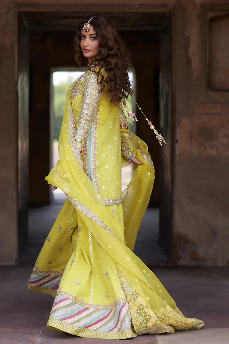 QALAMKAR LUXURY FORMAL'S | Dania SH-05