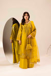 ZARDOZI EID EDTION - 03 DHAANI