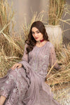 Arushi Collection By Tawakkal Fabrics 2024 | D-9981