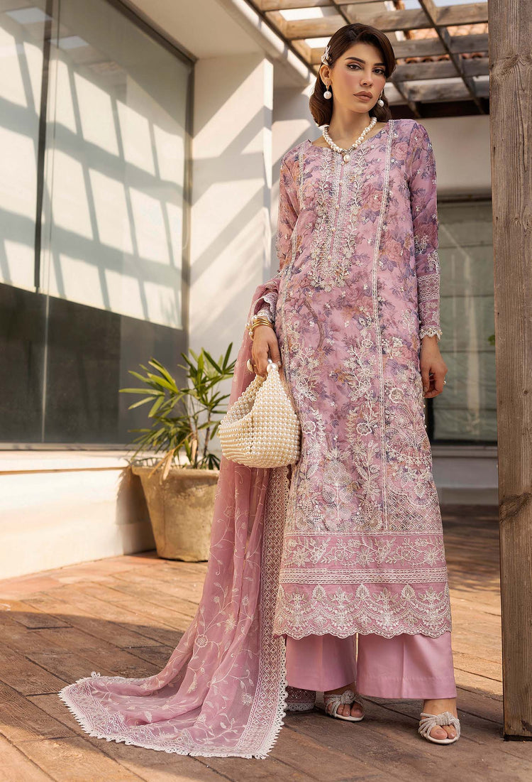 SUMMER DREAM ADAN LIBAS'25| 3503