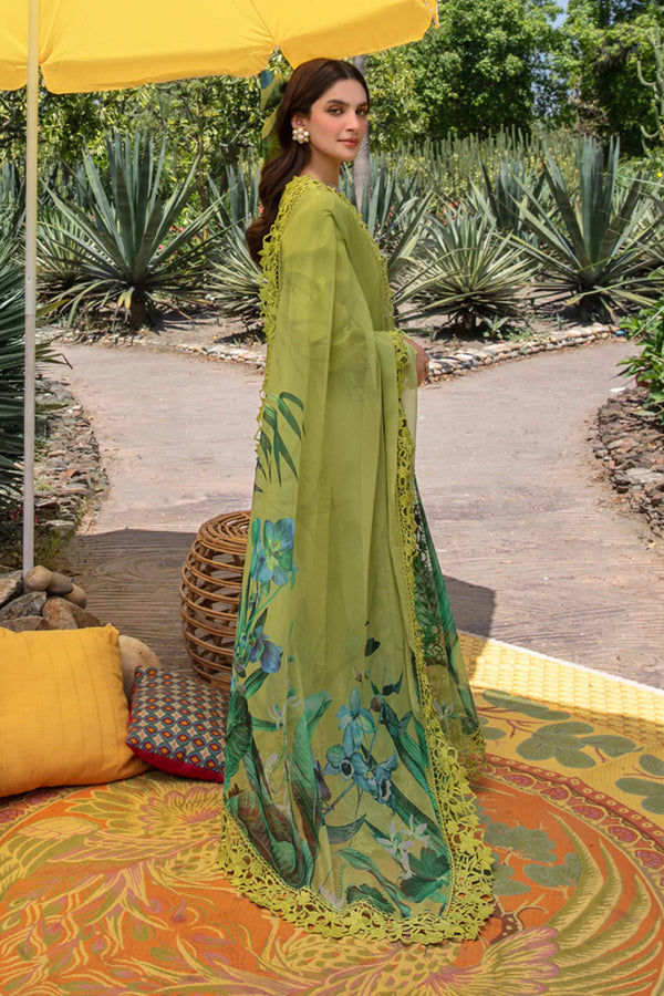 RANG RASIYA CARNATION FESTIVE EID - LIANA