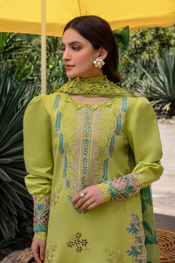 RANG RASIYA CARNATION FESTIVE EID - LIANA