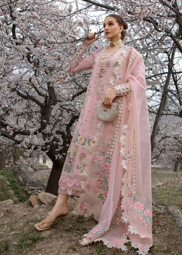 Believe In Her - Blush Pink-Crimson