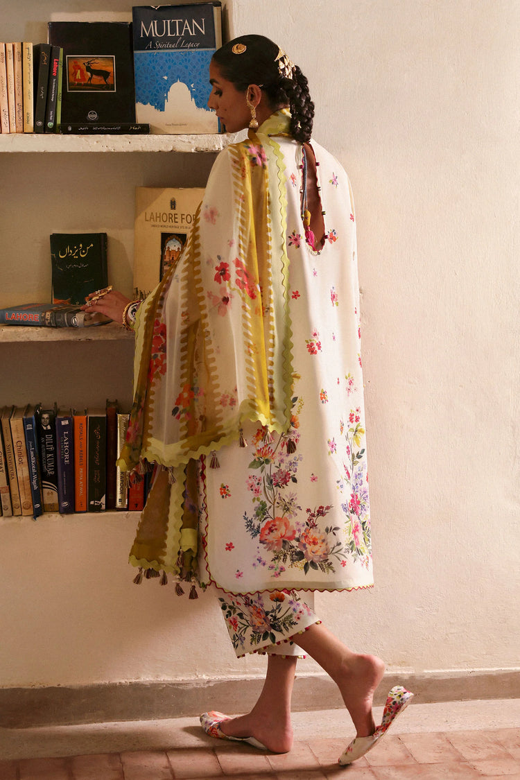 CHANDNI (ZF-25-10)