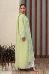 QALAMKAR QLINE-05 AYANA