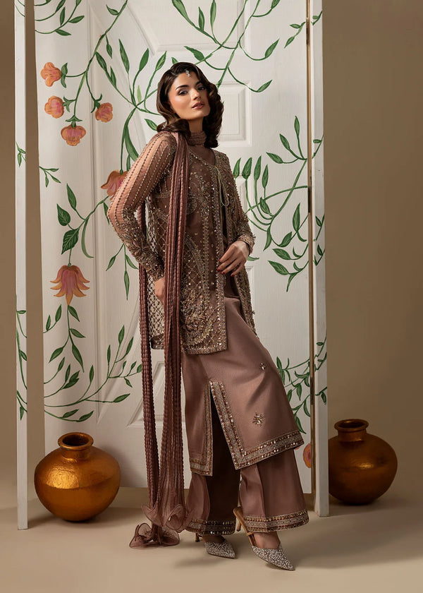 MERAKI ZOYA AHMAD- 11