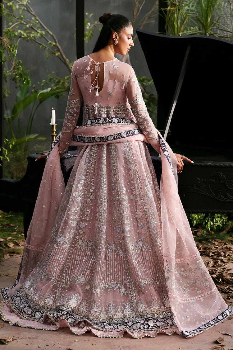 AFROZEH LA FUCHSIA'25/ Zeal