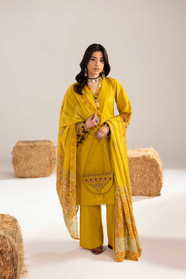PHULKAARI 2012 DHAANI