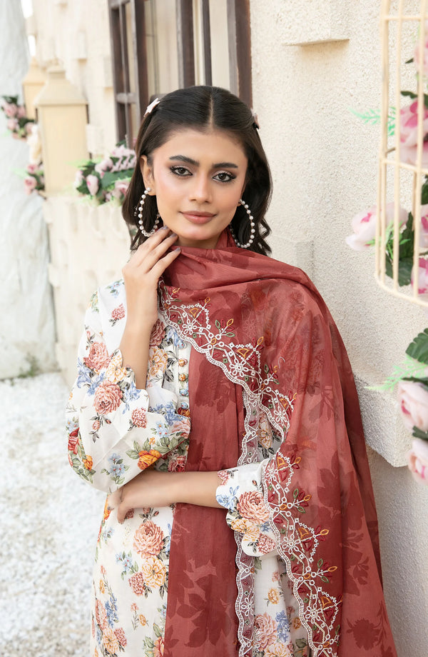 Shehrnaaz by Tawakkal-D- D-2954