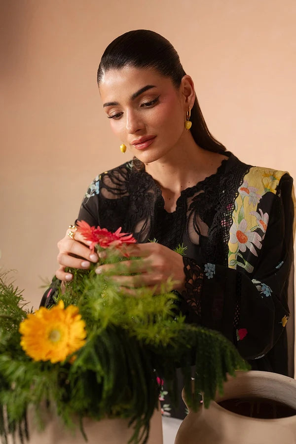 AFROZEH HAZE-EVANIA RUST