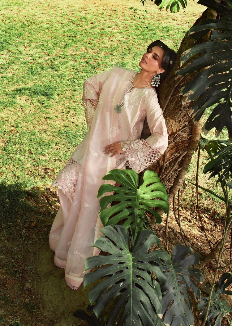 SHAHI BAGH PRET 2546- A