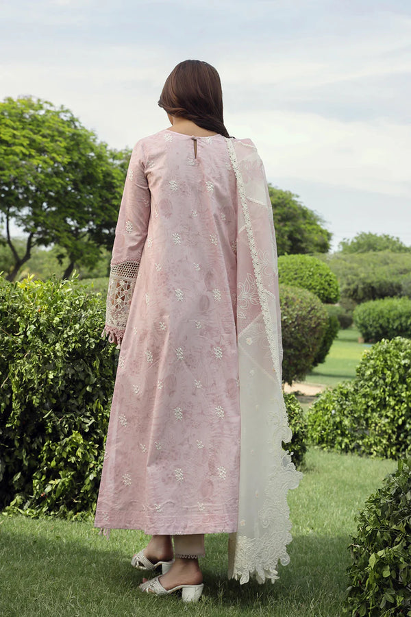 QALAMKAR FESTIVE UN-STICHED 3PC|PS-09