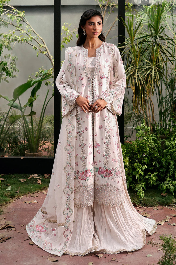 AFROZEH LA FUCHSIA'25/ Rue