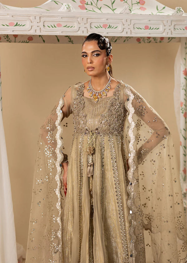 MERAKI ZOYA AHMAD- 01