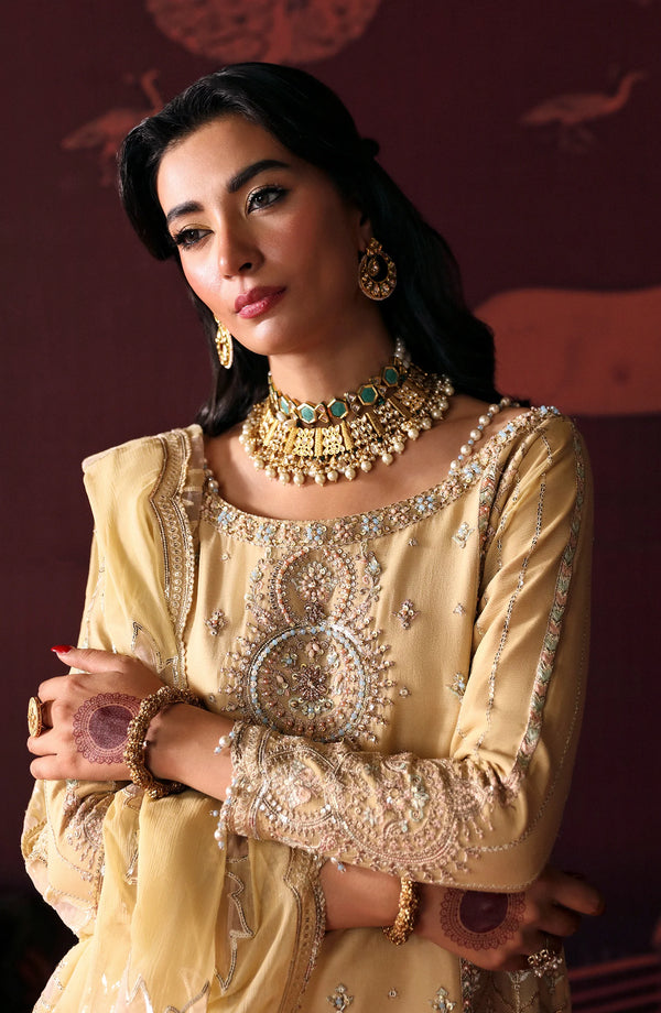 DEVDAS BY EMAAN | ADEEL UN-STITCHED 3PC | MEERA
