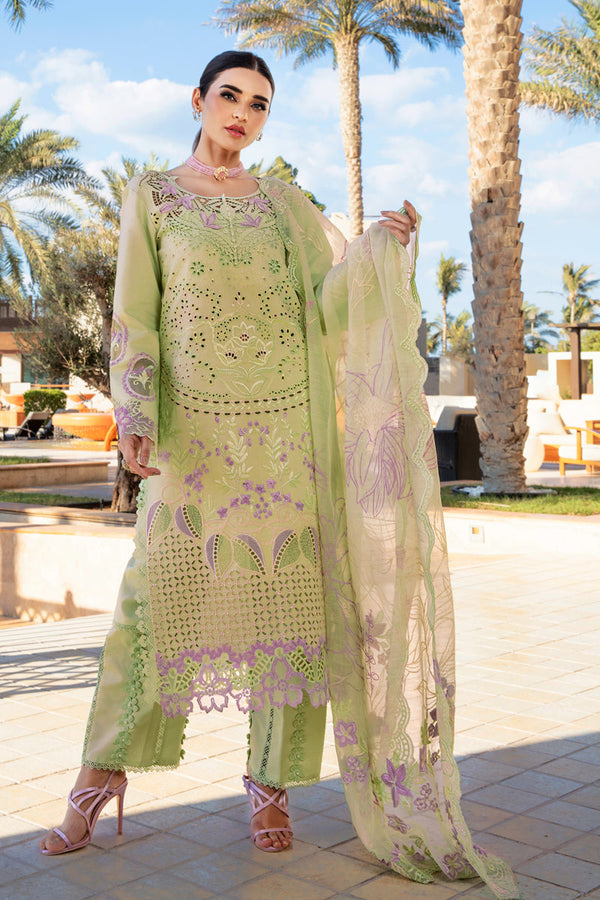 RANG RASIYA PREMIUM LUXURY LAWN | D-10