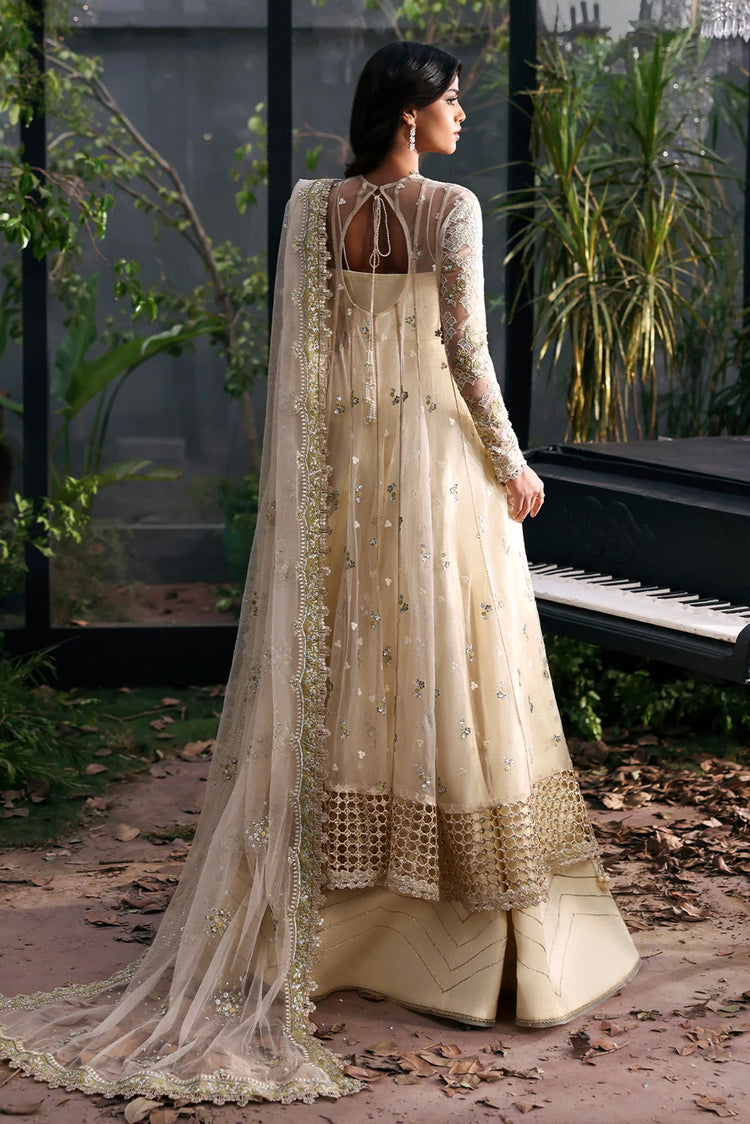 AFROZEH LA FUCHSIA'25/ Fleurie