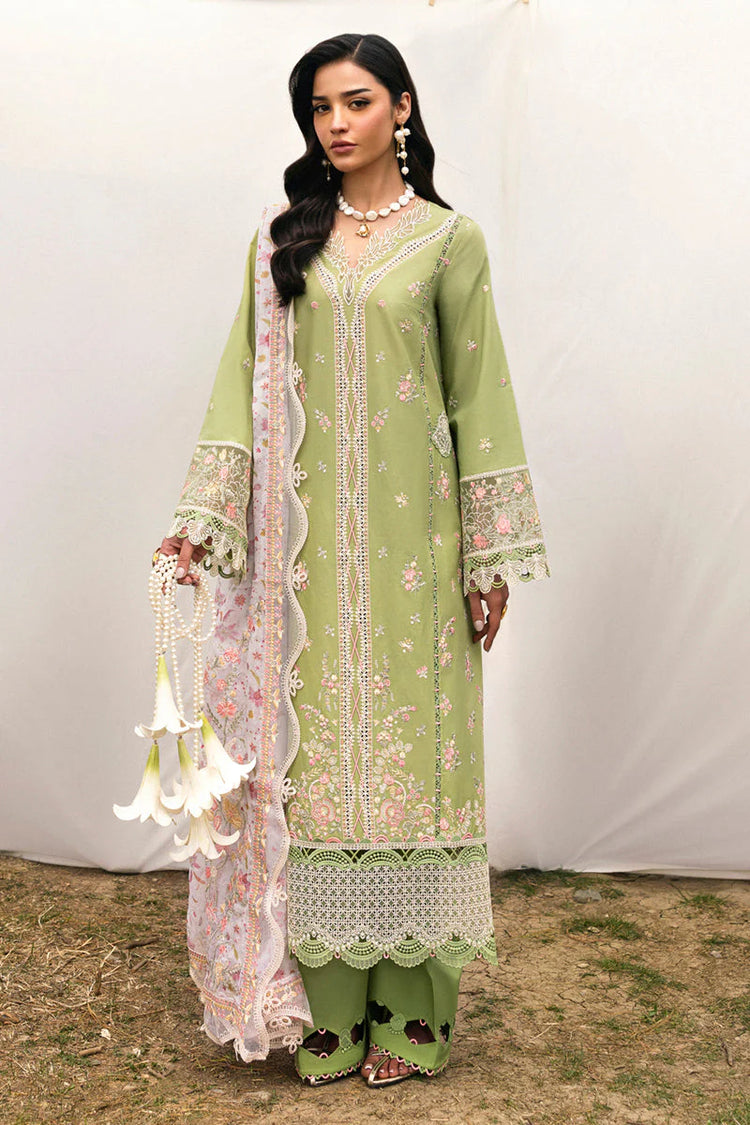 QLINEKARI DC-01 Lovisa