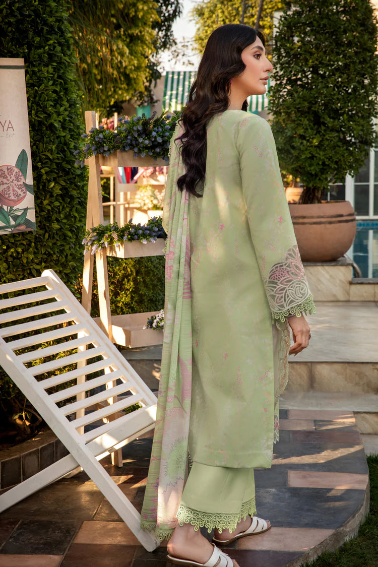RANG RASIYA FLORENCE -Haniya