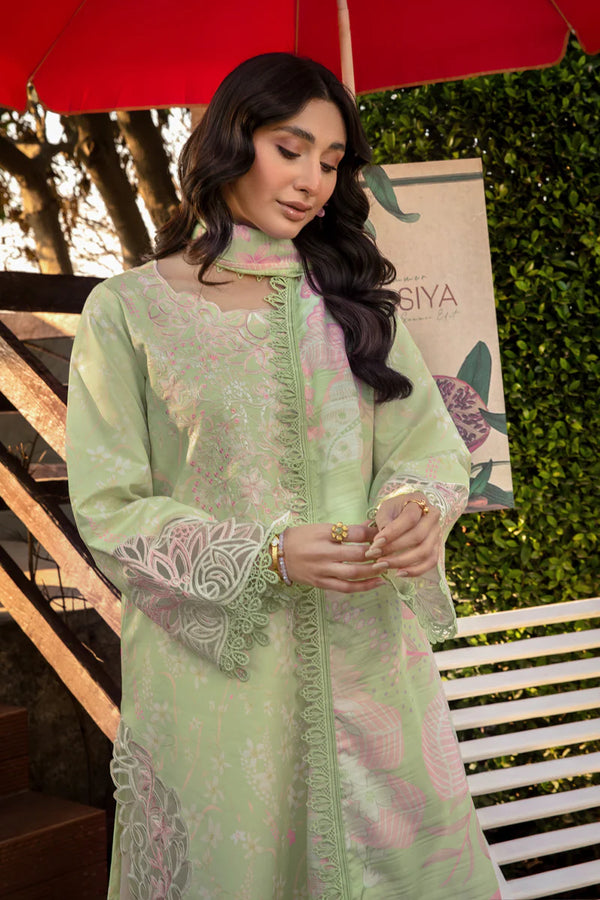 RANG RASIYA FLORENCE -Haniya