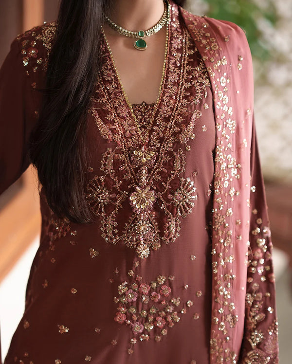 Mah-e-Noor Silk By Rohenaaz-Zarnish