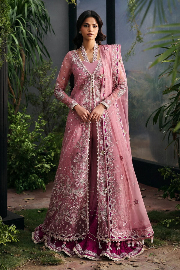 AFROZEH LA FUCHSIA'25/ Seraira