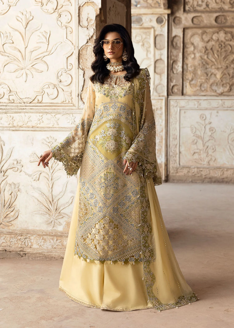 SARDINIA CHIFFON EDIT'25 / Haseena