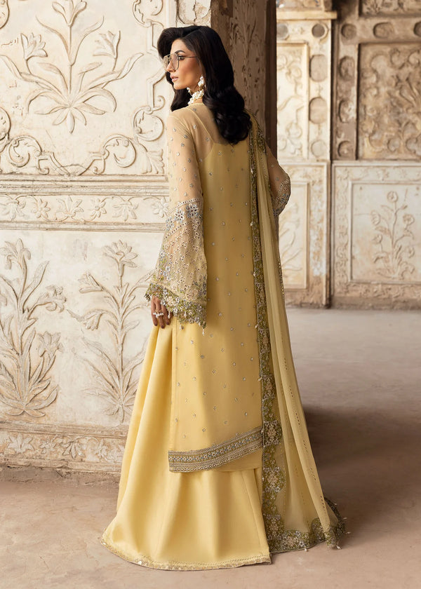 SARDINIA CHIFFON EDIT'25 / Haseena