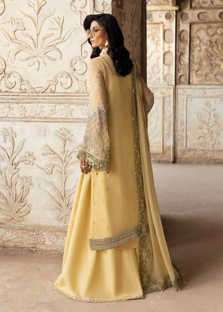 SARDINIA CHIFFON EDIT'25 / Haseena