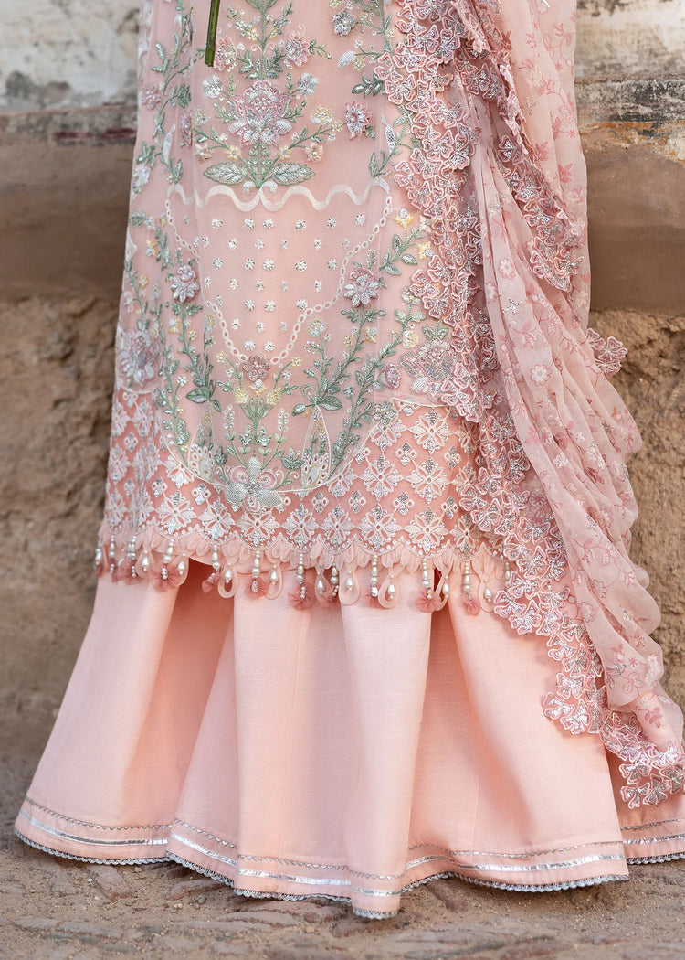SARDINIA CHIFFON EDIT'25 / Saasi