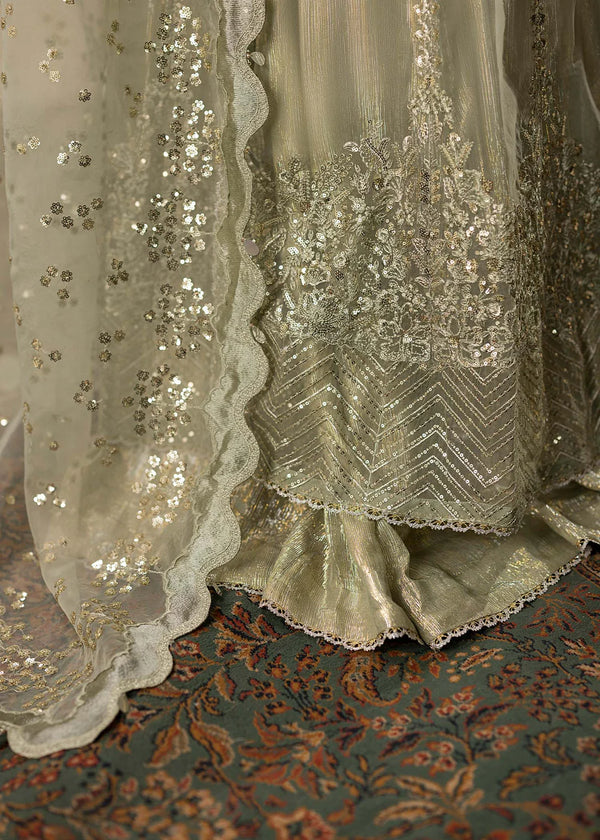 MERAKI ZOYA AHMAD- 02