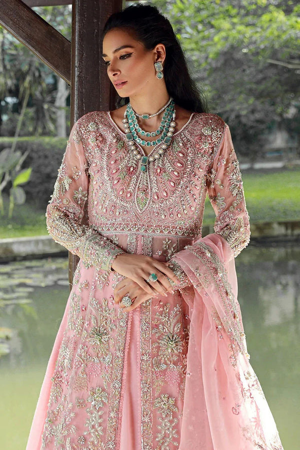 Enaara – Our First Chapter Festive Collection Vol 1 | D 03