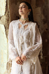 QALAMKAR CHIFFON-25 -WC-03 ROISE