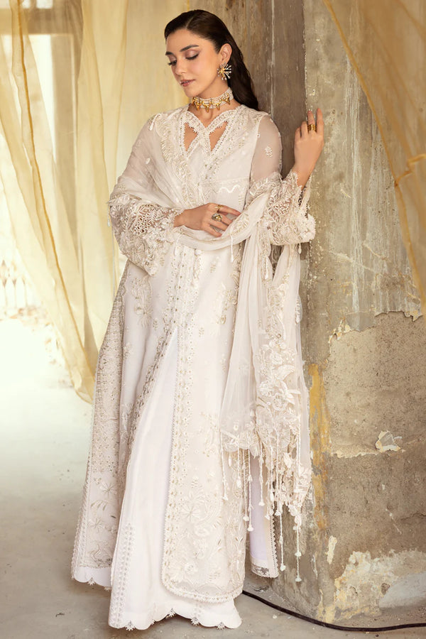 QALAMKAR CHIFFON-25 -WC-03 ROISE