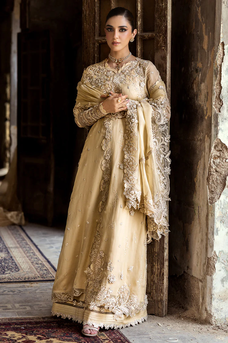 QALAMKAR CHIFFON-25 -WC-07 HEELA