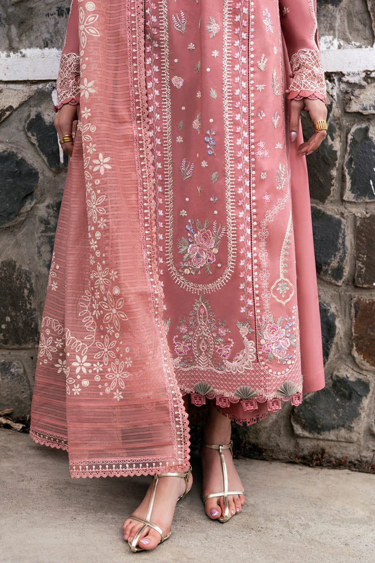 QLINEKARI DC-03 Moya