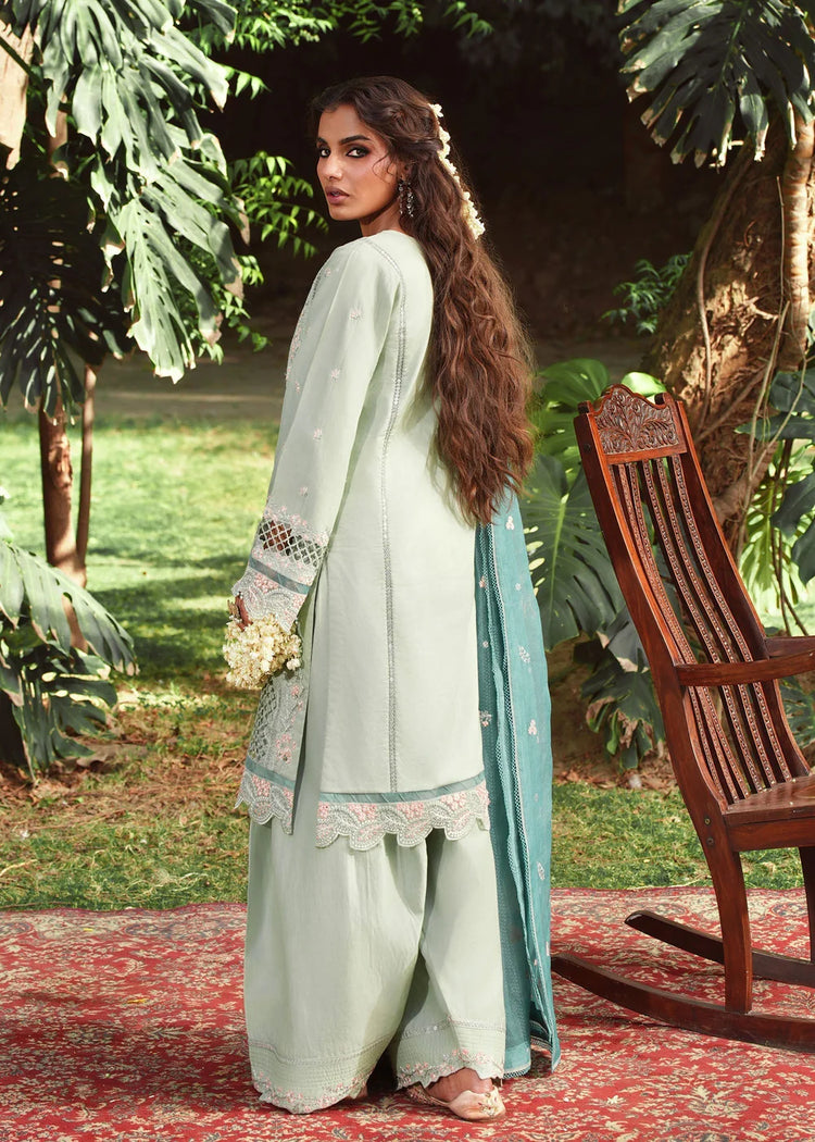 SHAHI BAGH PRET 2550- A