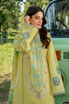 RANG RASIYA CARNATION FESTIVE EID - AYLA