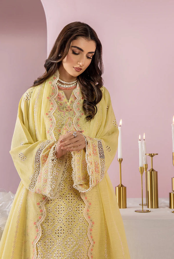 Meeral Eid Edit - Amelia