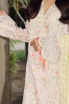 QALAMKAR FESTIVE UN-STICHED 3PC| PS-03