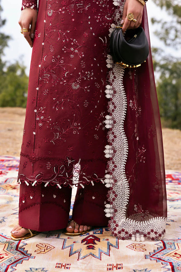 QLINEKARI DC-06 Aila