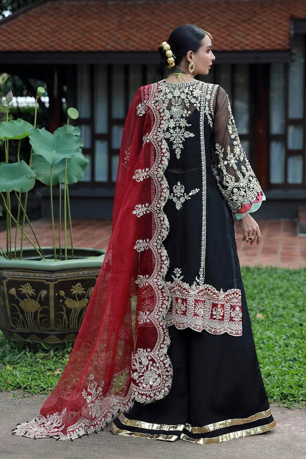 Enaara – Our First Chapter Festive Collection Vol 1 | D 06