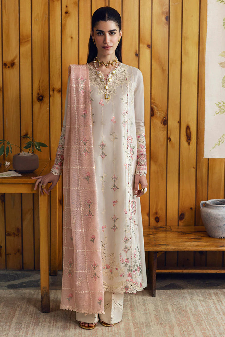 QLINEKARI DC-07 Tyrah
