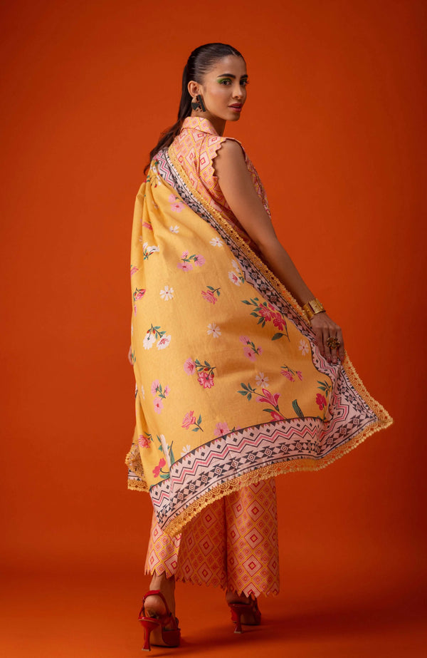 Coco Al Zohaib Popup Cambric 3 Piece Unstitched-CPC-2-24-09