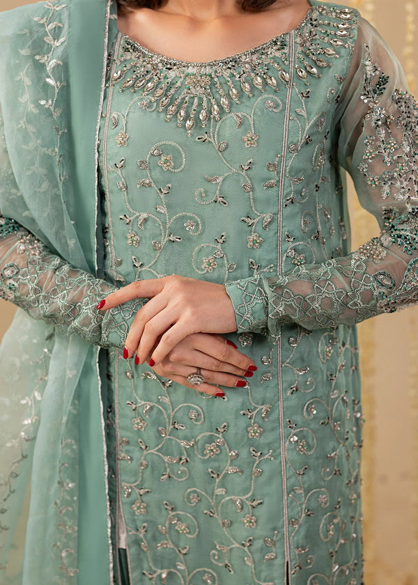 MERAKI ZOYA AHMAD- 09