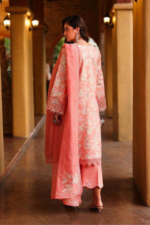 RANG RASIYA FLORENCE Safina