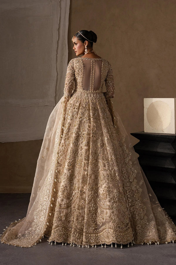 Afrozeh the Brides Edit'26/Catarine