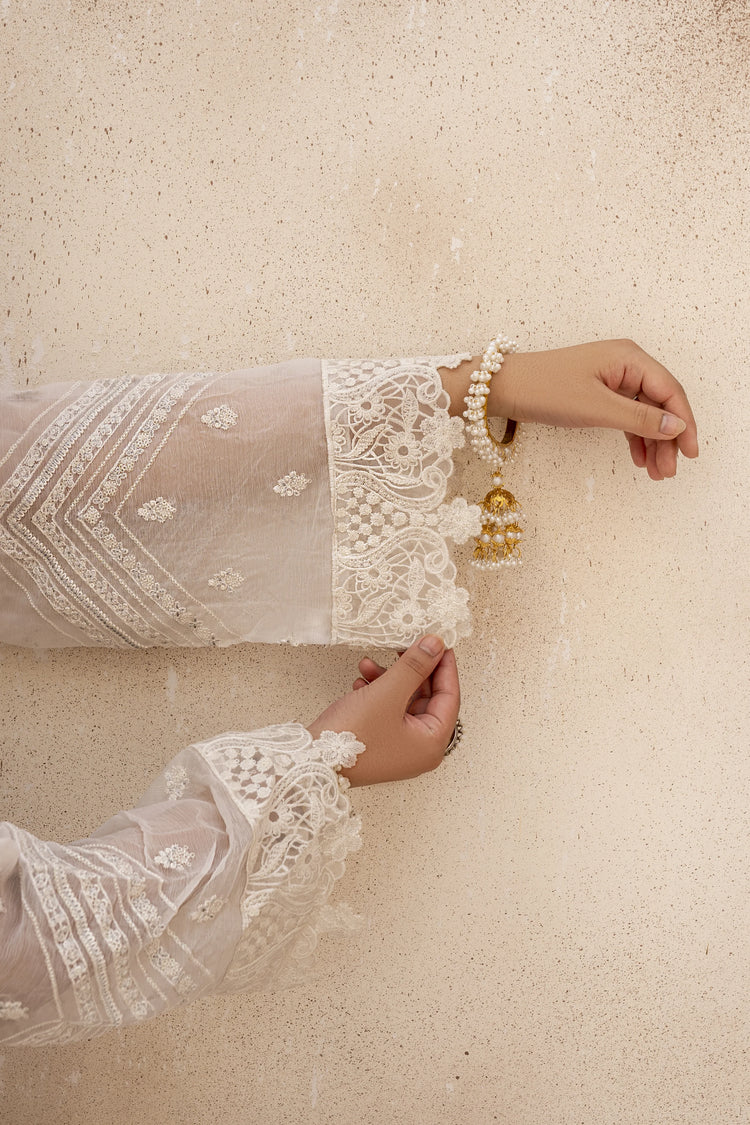 EMBROIDRED CHIFFON ZFHS-001